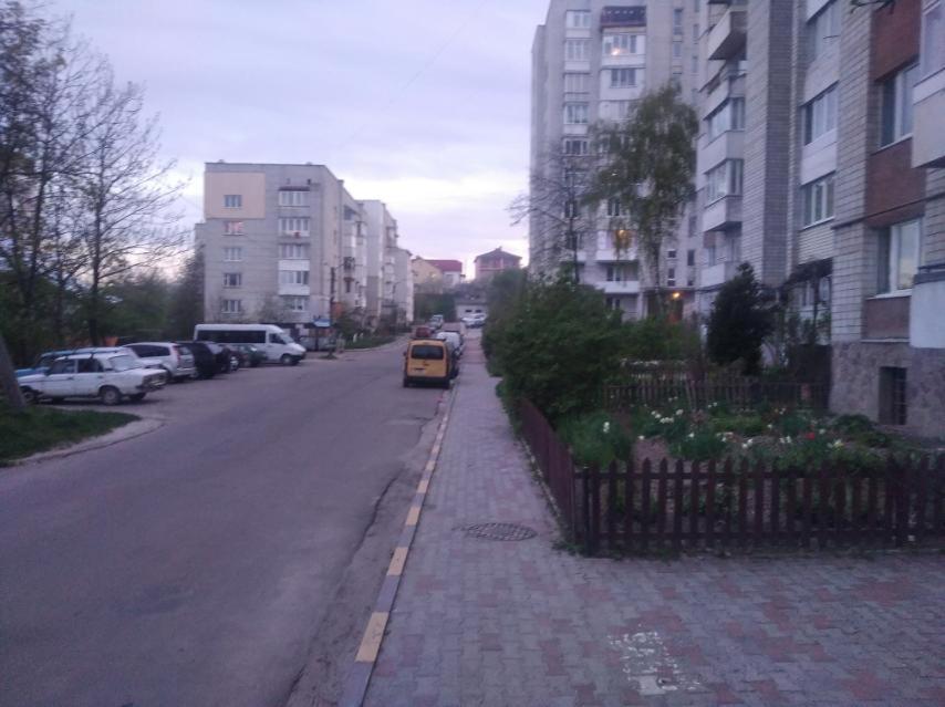 Затишна 1 кімнатна квартира Трускавець Экстерьер фото